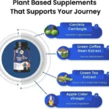 Achieve your fitness goals naturally with Chandramol Shape Jay Capsules. This Ayurvedic proprietary medicine is specifically designed to support healthy weight management by targeting slow metabolism and stubborn fat. The synergy of Guggulu (120mg), Garcinia (90mg), and Moringa helps regulate lipid metabolism and curb excessive cravings. Shape Jay provides a clean energy boost, ensuring that your weight loss journey doesn't leave you feeling drained. It also incorporates Triphala to ensure your digestive system is detoxified and efficient. Focus Areas: Weight management, metabolism boost, and energy boost. Dosage: One capsule twice a day or as directed by the physician.